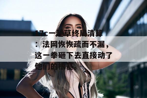 17c一起草终局清算：法网恢恢疏而不漏，这一拳砸下去直接动了他们的根基。